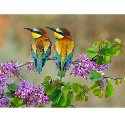 Anna's Collection tuinschilderij bijeneters 78x58cm multi