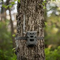 Spypoint FLEX-M Wildcamera 28 Mpix Geluidsopnames, 4G beeldoverdracht, GSM-module Grijs-groen (mat) - thumbnail