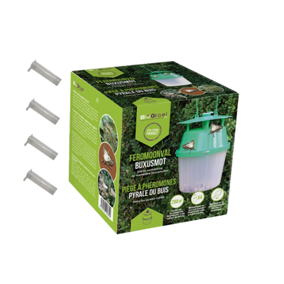 BUXUSMOT FEROMOONVAL | Incl 4 feromonen - Cydalima perspectalis