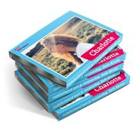 Mentos kauwgompakjes bedrukken - 24 stuks - thumbnail