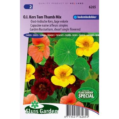Lage enkele Oost-Indische kers bloemzaden – Oost-Indische kers Tom Thumb mix