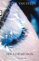 Een zeil van steen - Åke Edwardson - ebook - thumbnail