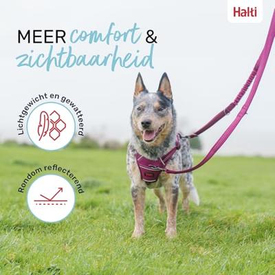 Hondenriem Company of Animals Grijs L