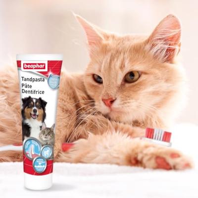Beaphar Tandpasta voor hond en kat 2 Tubes - thumbnail