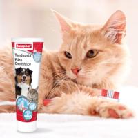 Beaphar Tandpasta voor hond en kat 1 Tube - thumbnail