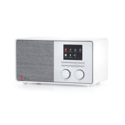 Pinell Supersound 301 Hybride radio Wit Pinell Supersound 301 Hybride radio Wit