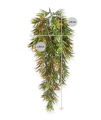 Asparagus Sprengeri kunst hangplant 60cm