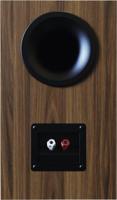 ELAC Debut B6.3 Walnoot Prijs per paar - thumbnail