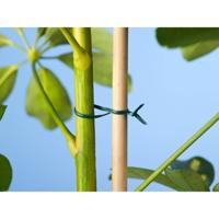 Bindband groen met metalen kern geplastificeerd 100m Nature - Nature - thumbnail