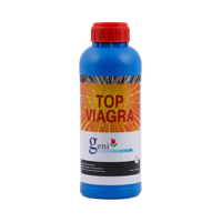 Geni Geni Top Viagra - thumbnail