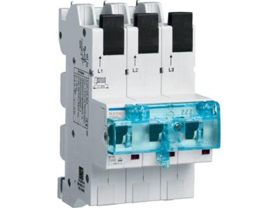 Hager HTS350E Hoofdleidingsveiligheidsschakelaar