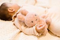 Nijntje Knuffel 20 cm Roze - thumbnail