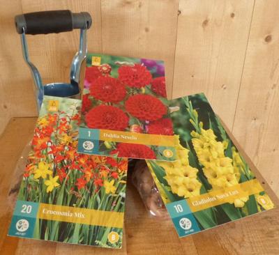 Cadeaupakket zomerbloembollen Dahlia rood, Gladiolen geel en Crocosmia oranje Warentuin Mix - Warentuin mix