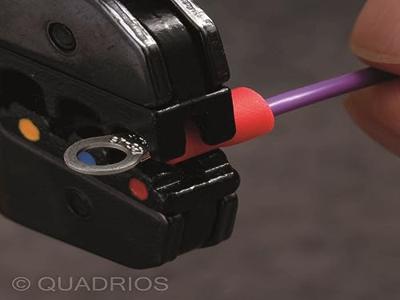 Quadrios 22C453 Ringkabelschoen Dwarsdoorsnede (max.): 4.0 mm² Schachtdiameter: 6.5 mm Deels geïsoleerd Zwart 1 set(s)