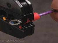 Quadrios 22C453 Ringkabelschoen Dwarsdoorsnede (max.): 4.0 mm² Schachtdiameter: 6.5 mm Deels geïsoleerd Zwart 1 set(s) - thumbnail