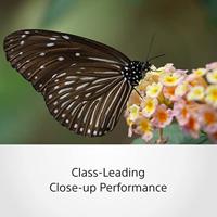 Sony FE 70-300mm F/4.5-5.6 G OSS - thumbnail