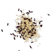 Agrapharm sluipwespen - thumbnail