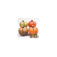 Season Inspired Decoration Pompoen met led verlichting h14cm - thumbnail