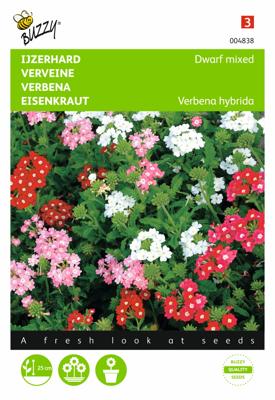 Verbena, IJzerhard compact kleurenmengsel
