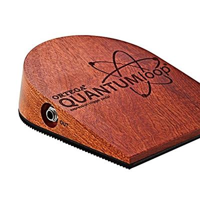 Ortega QUANTUMloop Expression Trigger Pedal