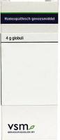 VSM Zincum metallicum D200 4 Gram - thumbnail