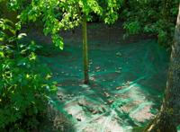 Nature fruit- en bladverzamelnet 4,3x4,3 m 6030451 - thumbnail