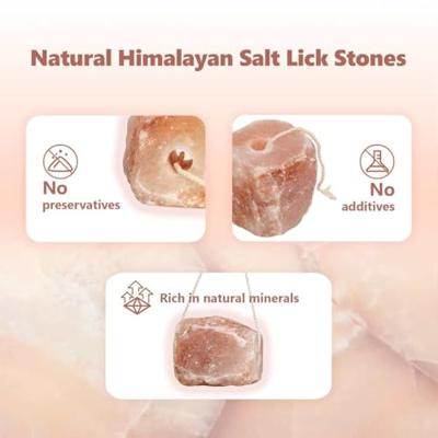 VidaXL Zoutlik stenen roze steenzout