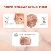 VidaXL Zoutlik stenen roze steenzout - thumbnail