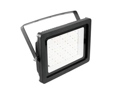 Eurolite LED IP FL-100 LED-buitenschijnwerper RGB