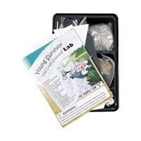 Kids Globe koeien, 12st 1:32 - thumbnail
