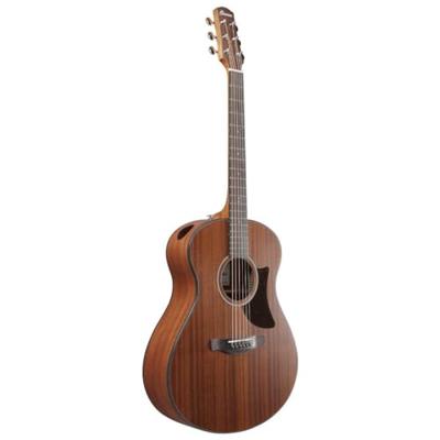 Ibanez AAM54 Open Pore Natural akoestische westerngitaar