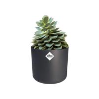 Bloempot B.for soft 22 cm antraciet elho - Elho - thumbnail
