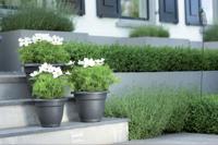 Elho Bloempot Green Basics Campana - Ø50 x H38 cm - Zwart - thumbnail