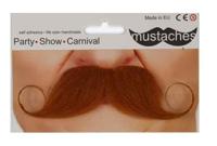 Snor koperrood - thumbnail