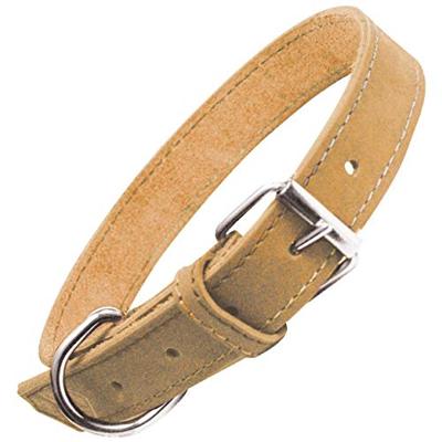 Hondenhalsband Gloria Oasis Rood (65 x 3 cm)