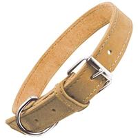 Hondenhalsband Gloria Oasis Rood (65 x 3 cm) - thumbnail