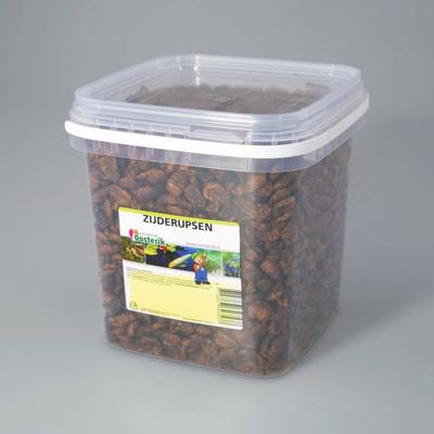 Zijderupsen 10 mm 2,5 liter voer Suren Collection - Suren collection
