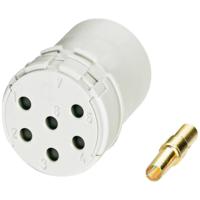 Contactinzetten met crimpcontacten voor serie RC, UC en TU 1599343 RC-12S1N8D0000 Phoenix Contact Inhoud: 1 stuk(s) - thumbnail