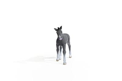 Schleich horse club trakehner veulen 13944