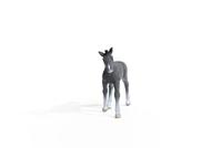 Schleich horse club trakehner veulen 13944 - thumbnail