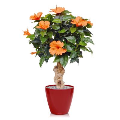 Hibiscus kunstplant op voet 65cm - oranje