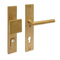 Intersteel SKG3 veiligheidsbeslag voordeur rechthoek 250x50mm greep/kruk Jura PC92 kerntrekbeveiliging - PVD messing getrommeld - thumbnail