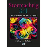 Stormachtig Stil (Paperback) - thumbnail