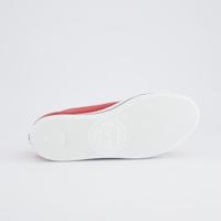 Paul Green 4081 - alle - thumbnail