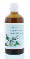 HGP038 Gemmoplex lever-nier lymf 100 Milliliter - thumbnail