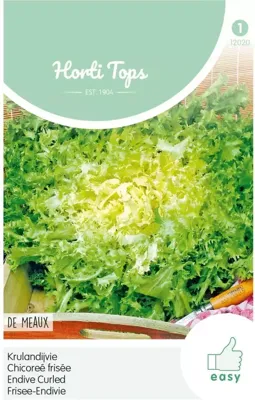 Zaden Krulandijvie De Meaux Hortitops - Hortitops