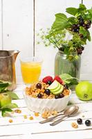 Krunchy appel kaneel bio 750 Gram - thumbnail