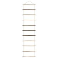 VidaXL Wanddecoratie laddervormig 50x200 cm naturel tak - thumbnail