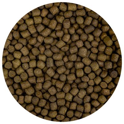 Fd Food Color-Up M 5,7mm - Intensieve Kleurversterkend Koi Voer - 3kg Pakket