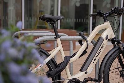 Hiplok dxxl - loop chain and u-lock